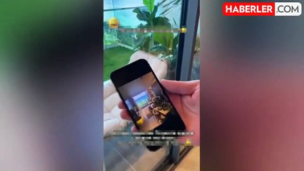 Deniz manzaralı otelde kalmak isteyen turistler hayatının şokunu yaşadı!