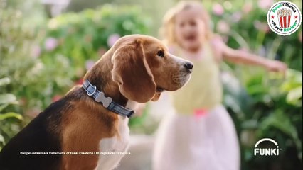 Beautiful Doll Turns into a Deadly Killer Witch – Tatya Bichoo & Megan (2023) Explained in English