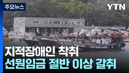 지적장애인 착취...숙식 제공 빌미로 임금 가로채 / YTN