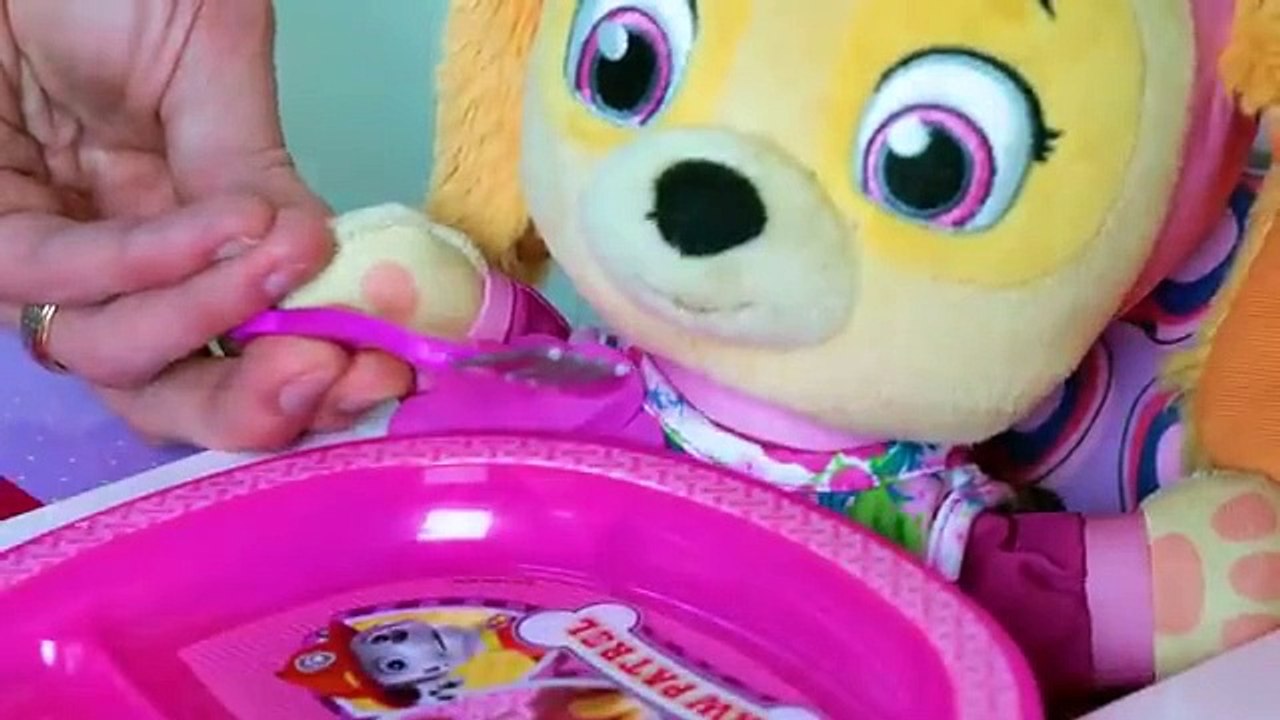 Paw Patrol