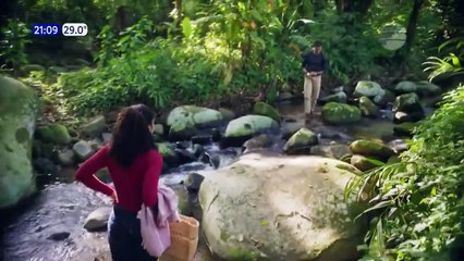 60. Tierra de Deseos (Terra e Paixao), en español