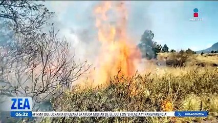 Incendio en el Desierto de los Leones, uno de los más destructivos de la CDMX