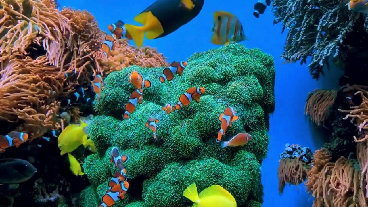 Serene Serenity: A Peaceful Waterfall Retreat