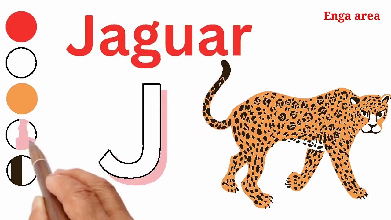 A to Z Animal Drawing and Coloring For kids video Dailymotion