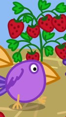 Burping Birds_ #shorts #peppapig