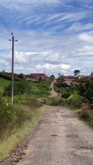 Absen dulu, anak rantau yan gak bisa pulang tahun ini