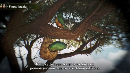 Guide Ultime pour Débutants dans Monster Hunter Wilds 🎯