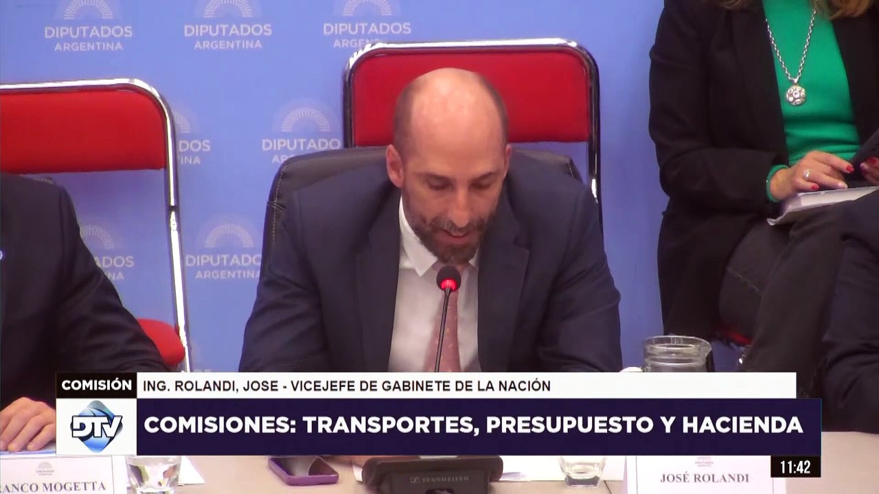 Rolandi defendió el proyecto de privatización de Aerolíneas: 