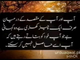 Motivational quotes in Urdu#inspirational quotes#motivational#best lesson