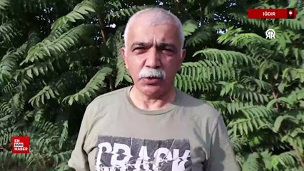 Ağrı Dağı'nda 'dorukların benekli meleği' görüntülendi