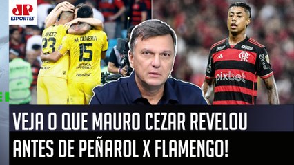 "Pelo que UMA PESSOA ME FALOU, os jogadores do Flamengo..." VEJA o que Mauro Cezar REVELOU!