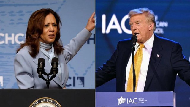 ¿Qué reflejan los sondeos a pocas semanas de las elecciones presidenciales en Estados Unidos?