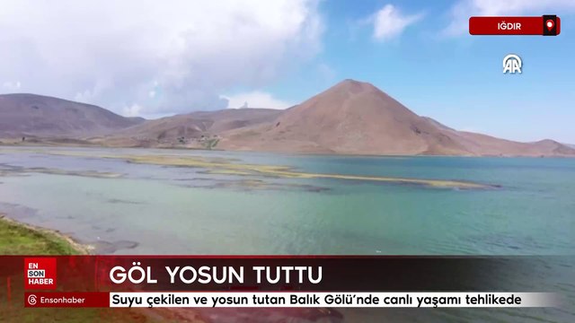 Ağrı'da suyu çekilen ve yosun tutan Balık Gölü'nde canlı yaşamı tehlikede