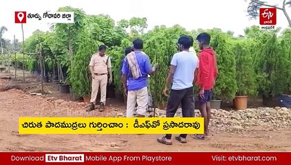 చిరుత ఆచూకీ కోసం డ్రోన్ కెమెరాలు వినియోగిస్తున్నాం