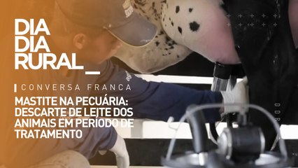 Mastite na pecuária: descarte de leite dos animais em período de tratamento
