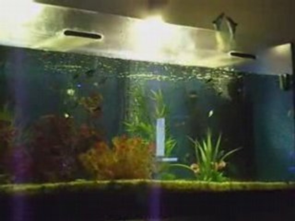 Poisson