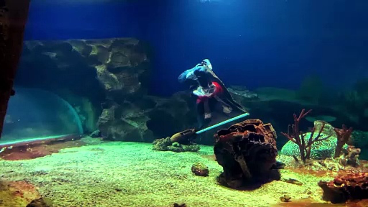 Captain Jack's Sea Shanty: The Ultimate Pirate Song (2024) #music