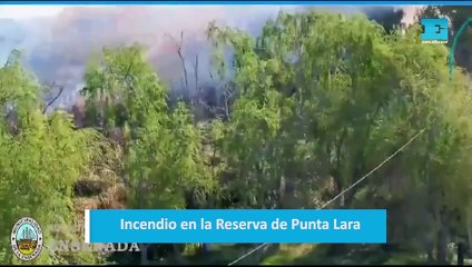 Incendio en la Reserva de Punta Lara