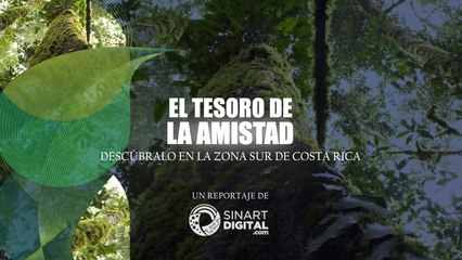 El Tesoro de la Amistad parte 3