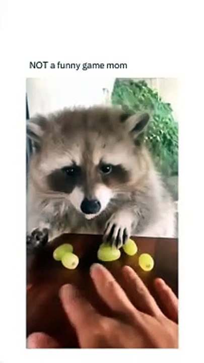 My Grapes....Mine only