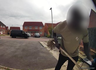 Evri delivery driver sacked after shoving mop through letterbox to 'hit' dogs