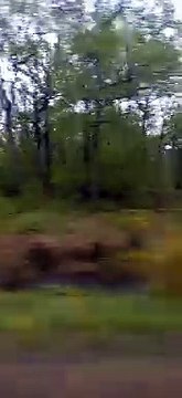 The TER Paris Chartres Line #france #paris #chartres #train (27)