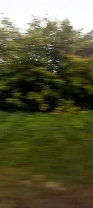 The TER Paris Chartres Line  #france  #paris #chartres #train  (29)