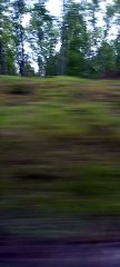 The TER Paris Chartres Line  #france  #paris #chartres #train  (33)