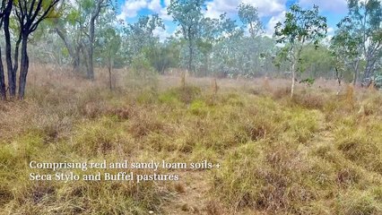Bowthorn Station, Doomadgee, Qld | September 27, 2024 | Farmonline