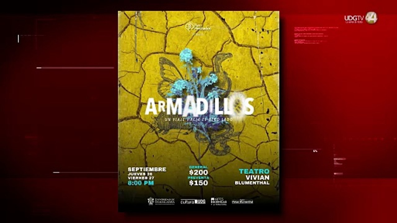 La obra "Armadillos" aborda la migración con un enfoque inclusivo