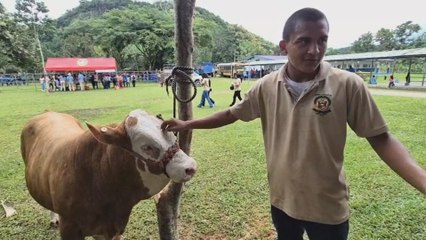 Realizarán olimpiadas agropecuarias a nivel nacional