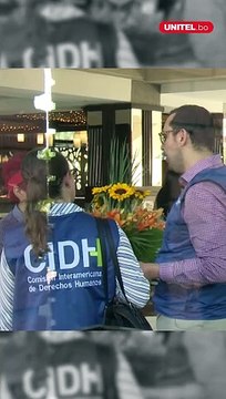 La Comisión Interamericana de Derechos Humanos considera que el Tribunal Constitucional Plurinacional dejó “sin efecto” la sentencia de la reelección indefinida en Bolivia