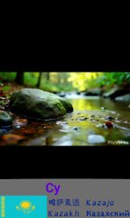 Water in 68 languages