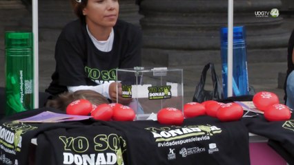 Decir sí a la vida, objetivo del Día Nacional de Donación de Órganos