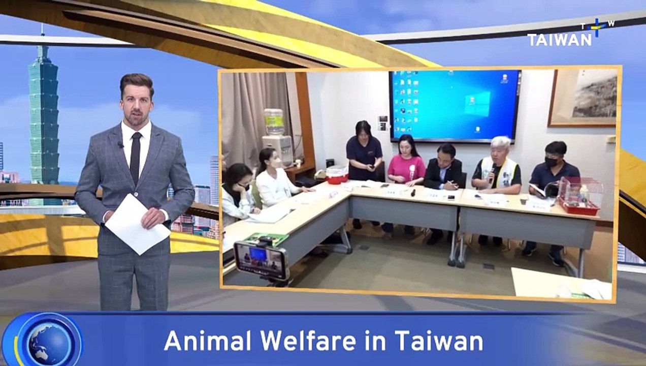 Animal Shelters in Taiwan Turning Away Less Common Pets video Dailymotion