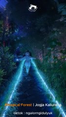 Magical Forest JOgja Kaliurang, Seperti Jadi Avatar, Cek Vidionya!!
