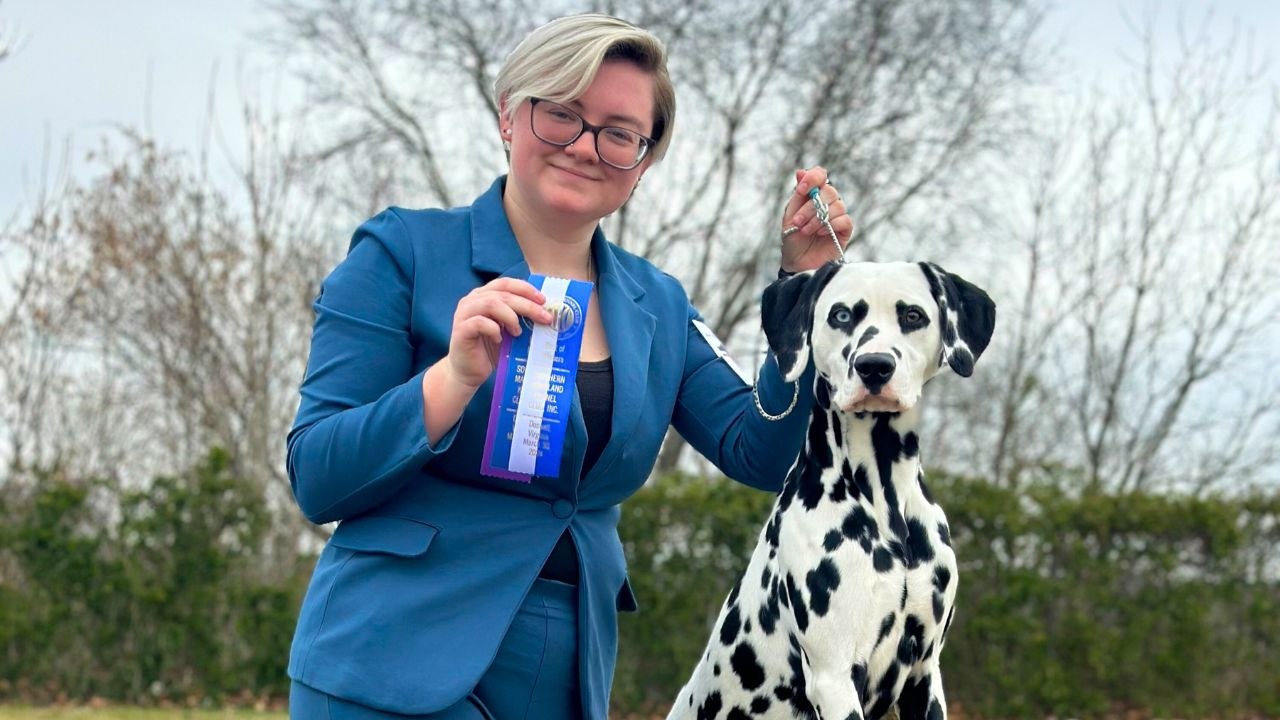 Lernen sie den dalmatinischen welpen mit herzförmigen flecken um seine augen kennen