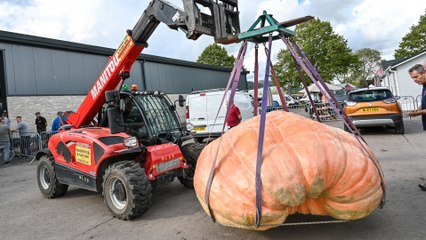 Monster pumpkin weighing over a tonne breaks British record at country show