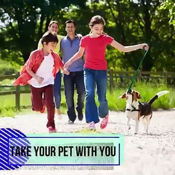 Ronnie Tarabay - Home Seller Etiquette Tips Home Sellers Should Know