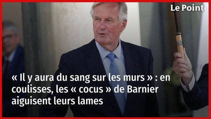 « Il y aura du sang sur les murs » : en coulisses, les « cocus » de Barnier aiguisent leurs lames