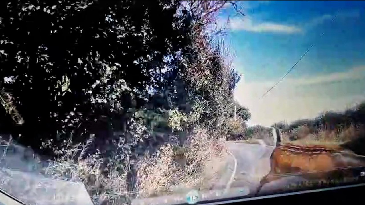 Schockierender moment, in dem ein autofahrer ein reh anfährt und es über die straße schleudert