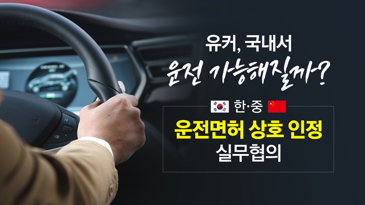 유커, 국내서 운전 가능해질까? '운전면허 상호인정' 검토 중 [앵커리포트] / YTN