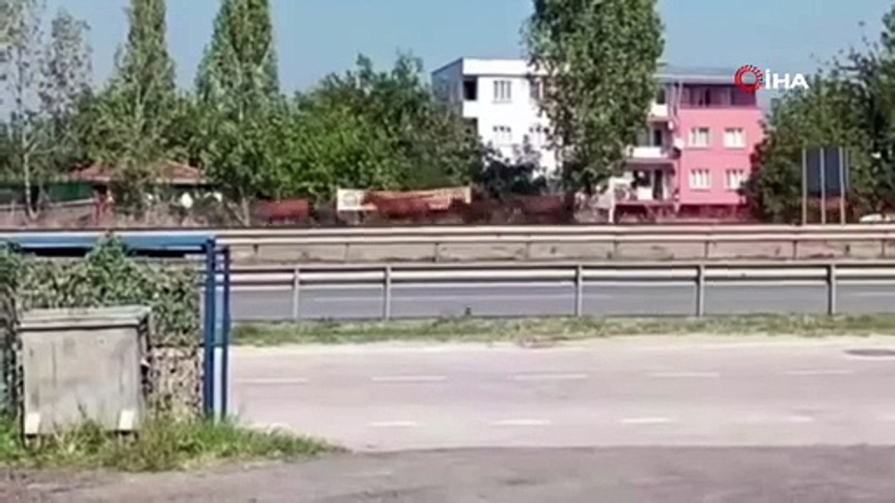 Bursa’da başıboş atlar cirit atıyor