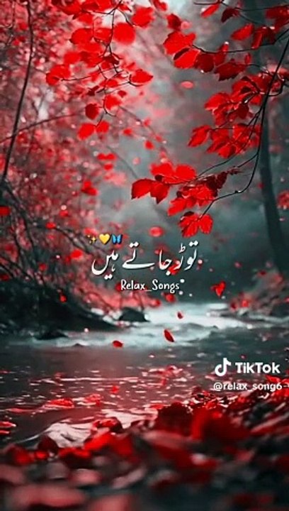 WAFA K BADLY | SAD SONG