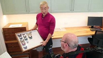 New Zealand butterfly collector gives away life's work