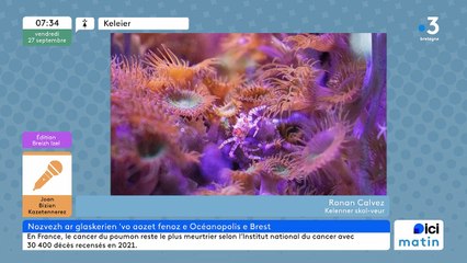27/09/2024 - ICI Matin France Bleu Breizh Izel en vidéo