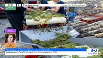 27/09/2024 - ICI Matin France Bleu Hérault en vidéo