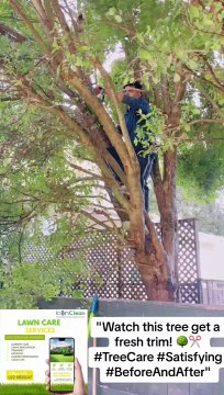 Lawn Mowing Services