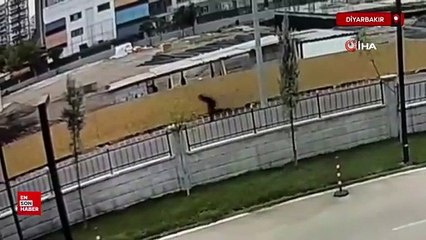 Diyarbakır'da hırsızlık olayına karışan şahıs film gibi operasyonla yakalandı