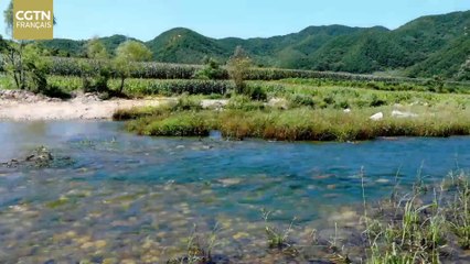 À la recherche de la Chine ancienne : le Jade - Épisode 1